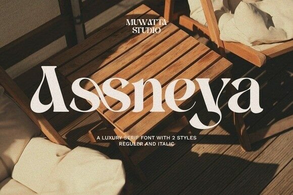 Assneya: The Serif Font That Elevates Your Brand