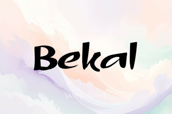 Bekal: A Script Font That Adds Personality to Campaigns